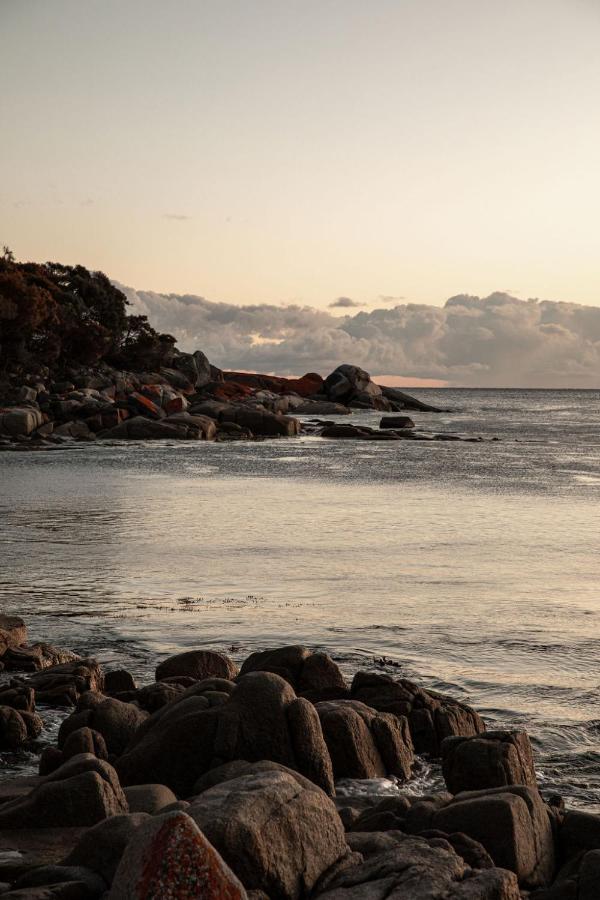 Villa Driftwood Rest Binalong Bay Sleeps 4 Extérieur photo