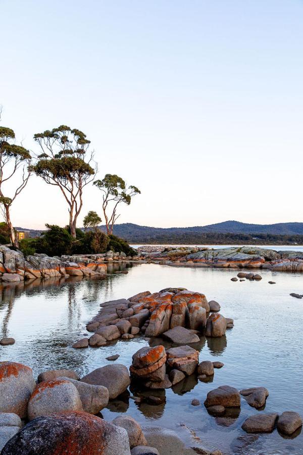 Villa Driftwood Rest Binalong Bay Sleeps 4 Extérieur photo